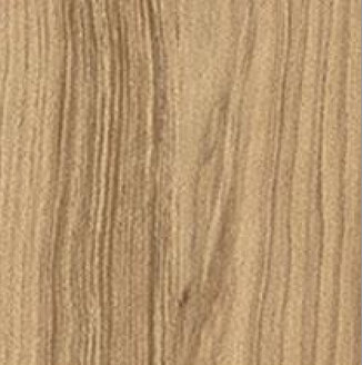 Fawn Cypress