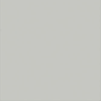 Fashion Grey