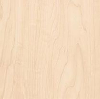 Manitoba Maple